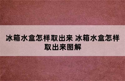 冰箱水盒怎样取出来 冰箱水盒怎样取出来图解